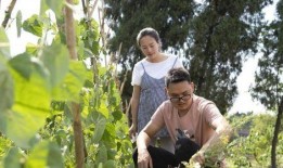 川乡小妹爆料视频